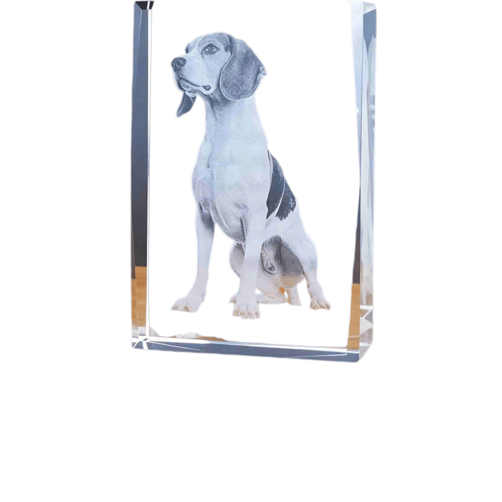 3D Crystal Pet Keepsakes