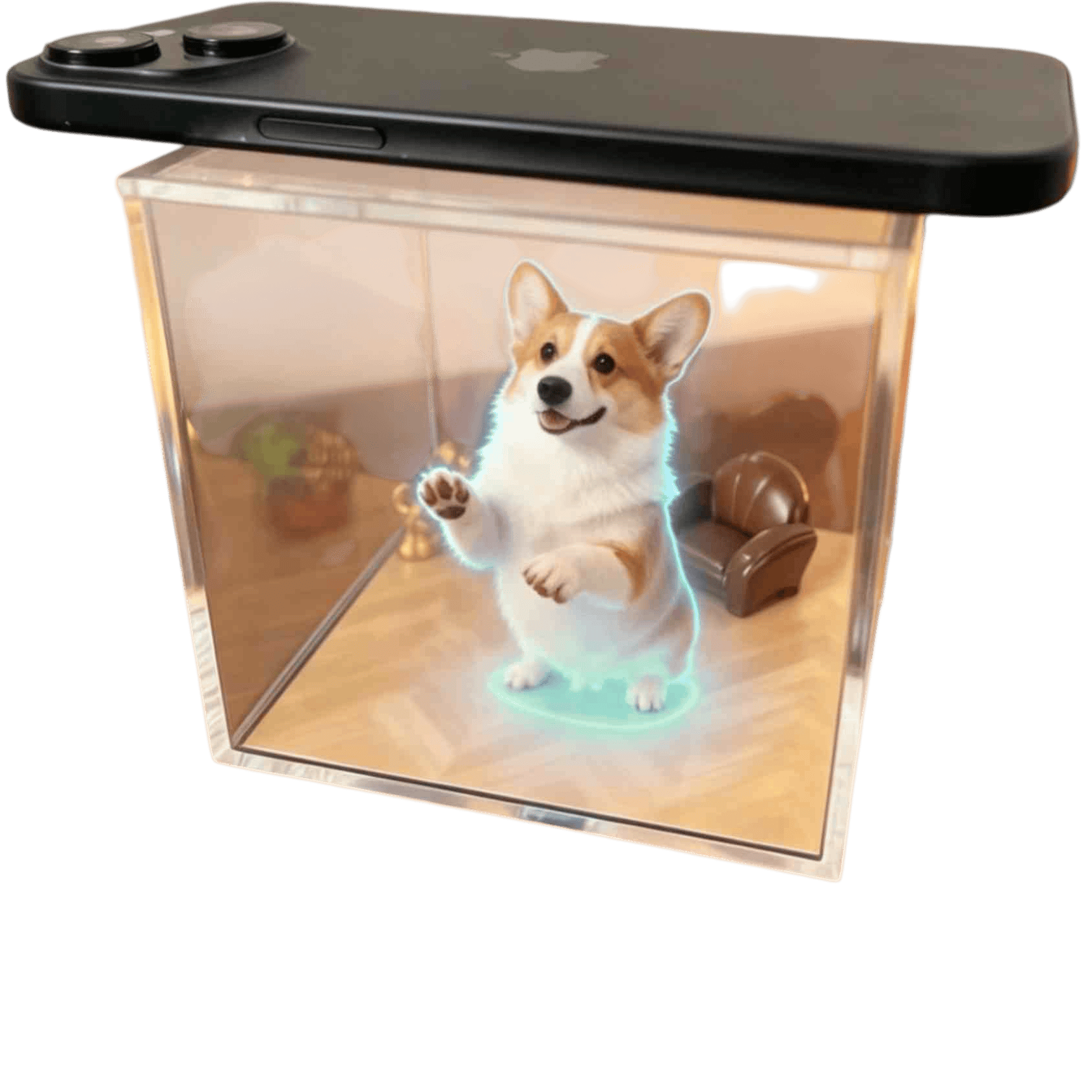 Pet Memory Projectors