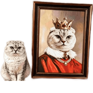 Framed Pet Portraits